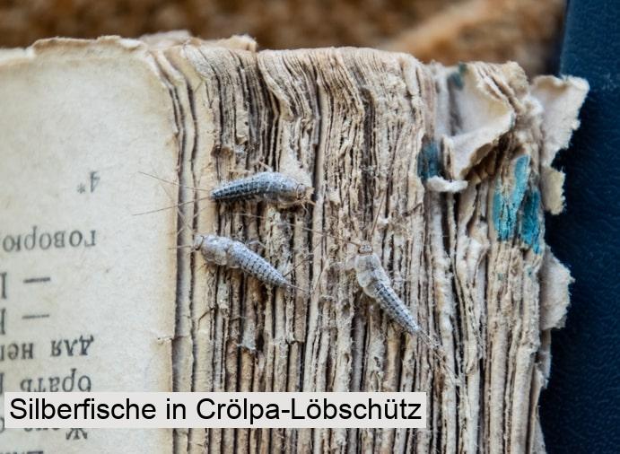 Silberfische in Crölpa-Löbschütz